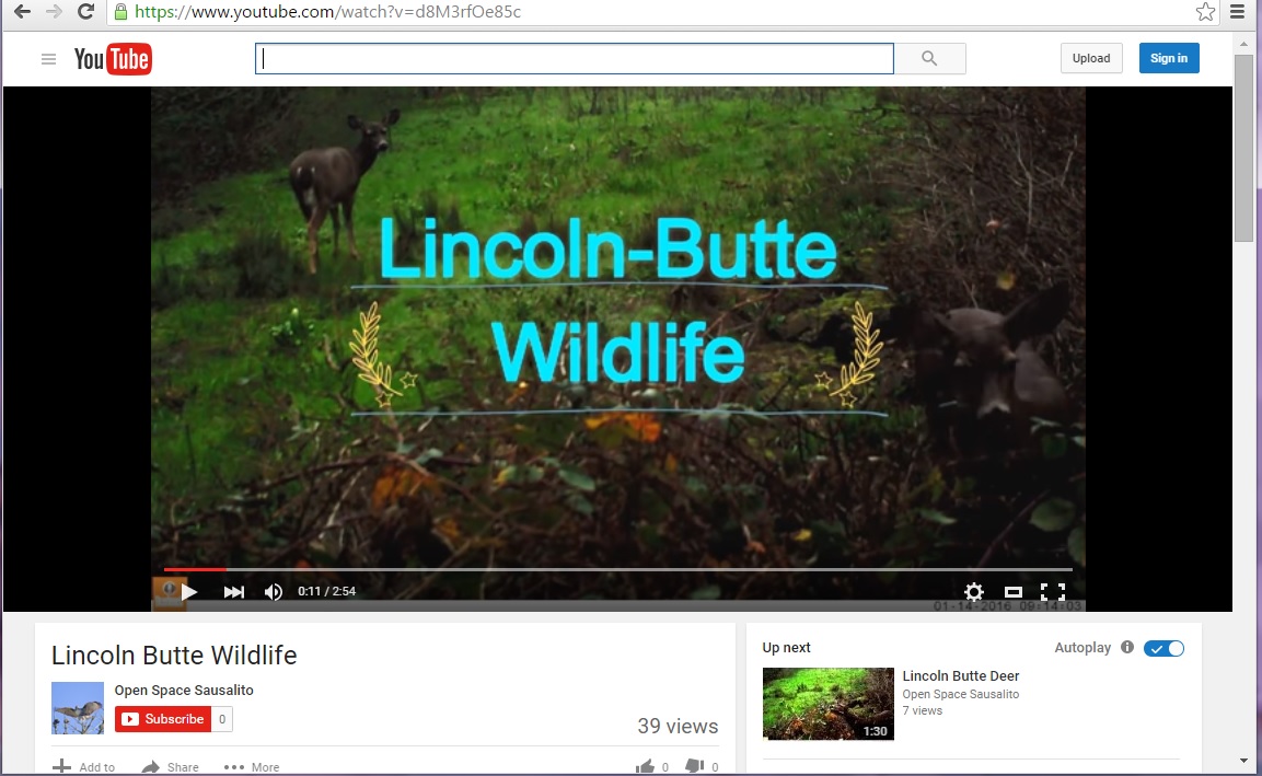 LincolnButteWildlife
